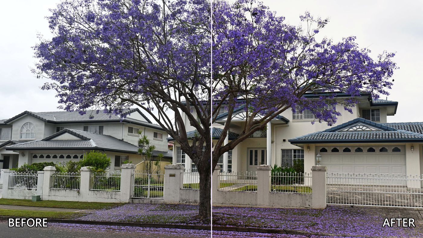 Before and after colour correction of a jacaranda in front of a white house: left half straight from the camera, right half after the Python edit
