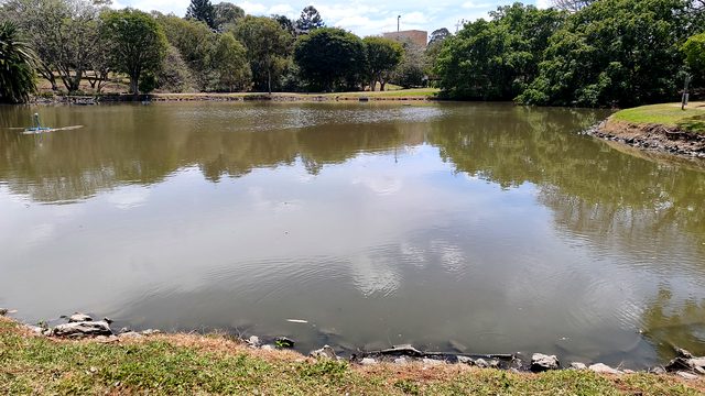A small calm lake reflecting trees and clouds at UQ St Lucia