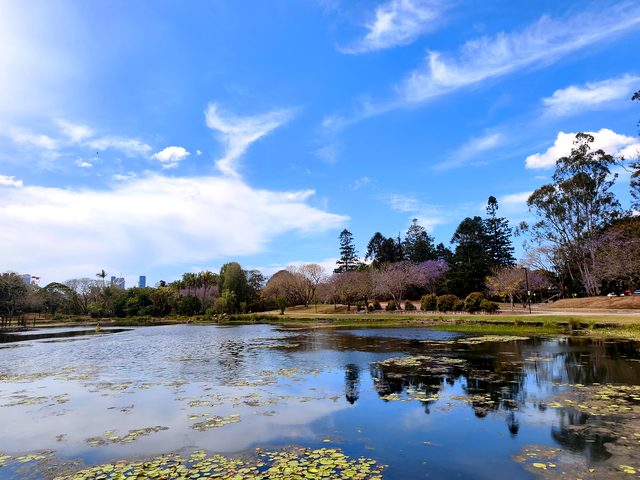 Blue sky and clouds over the main lake at UQ with jacarandas on the far bank